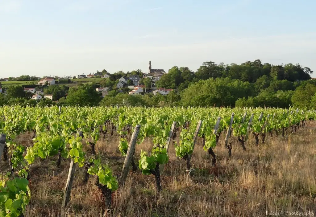 vignoble-nantais-camping